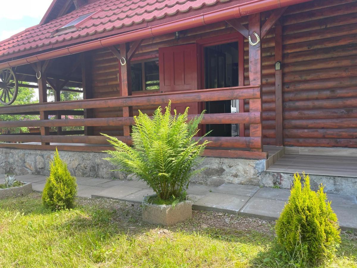 Cabana Transilvania Beliş 외부 사진