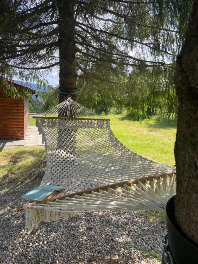 Cabana Transilvania Beliş 외부 사진